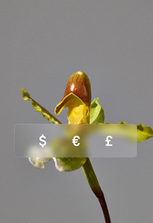 A set of currency symbols, US Dollars, Euros, and British Pound.