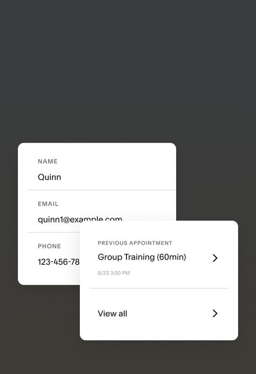 Client profile information including name, email, phone, and previous booking history.